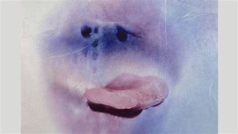 oma vagina|Sex positivity after 70: Marilyn Minter’s sensual photographs of ...